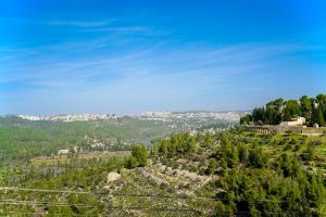 נדל"ן, התחדשות עירונית והשקעות גלובליות – לאן הולך שוק הנדל"ן בשנים הקרובות?