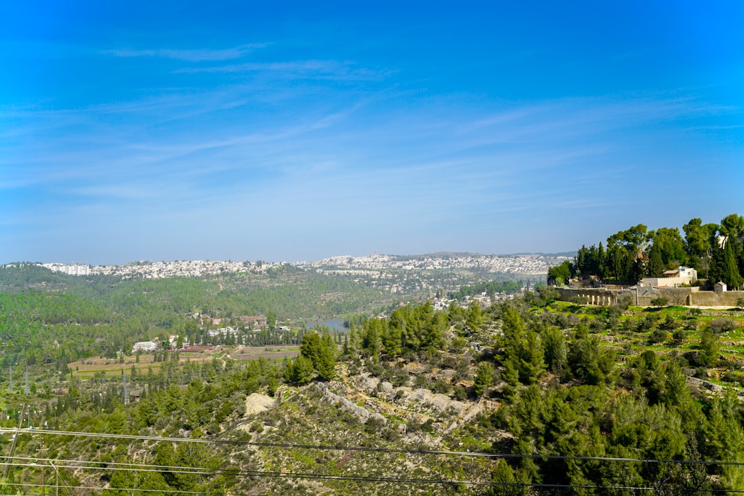 נדל"ן, התחדשות עירונית והשקעות גלובליות – לאן הולך שוק הנדל"ן בשנים הקרובות?